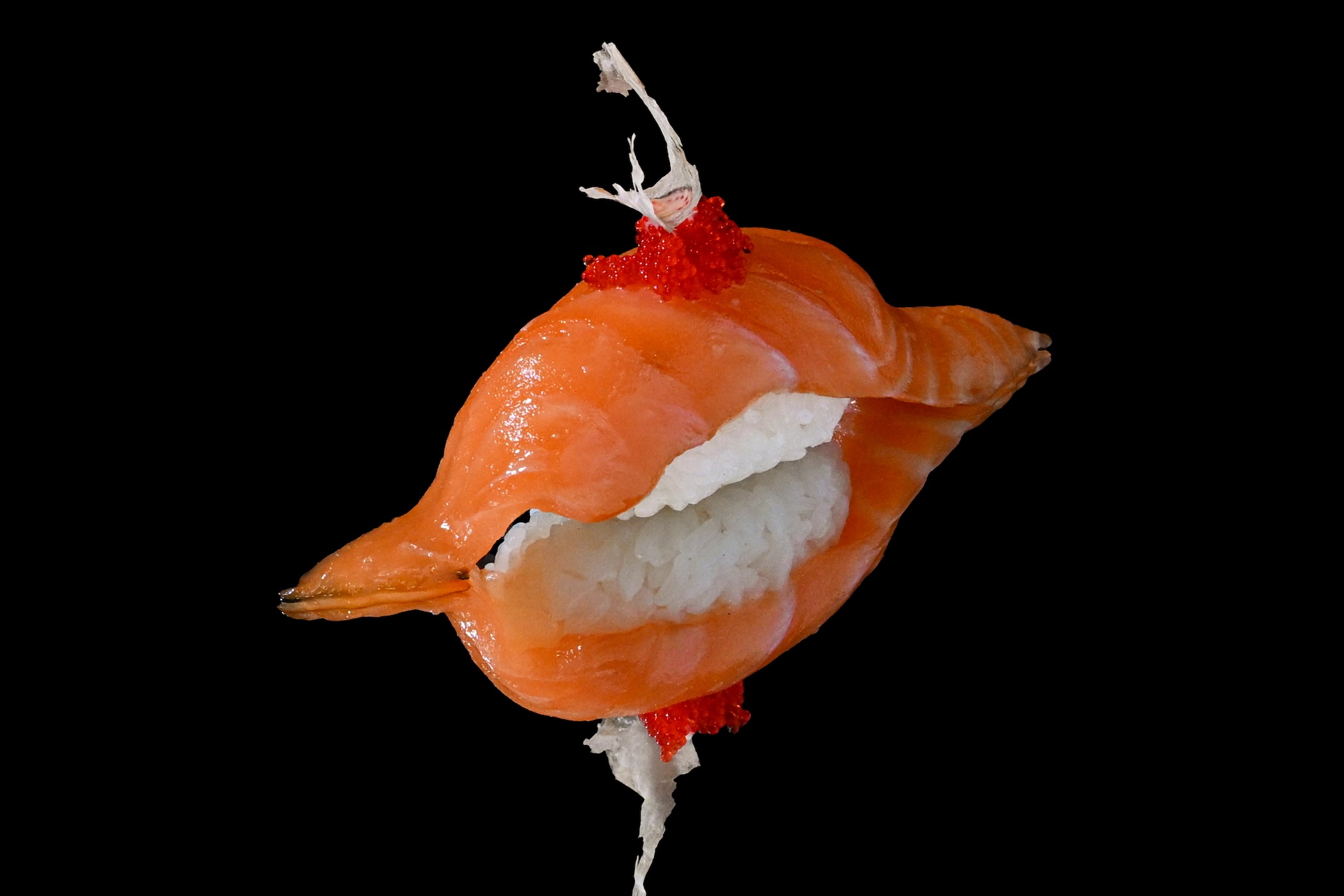 Salmon nigiri